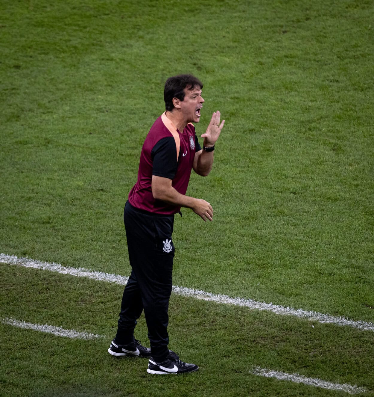 Corinthians Fernando diniz