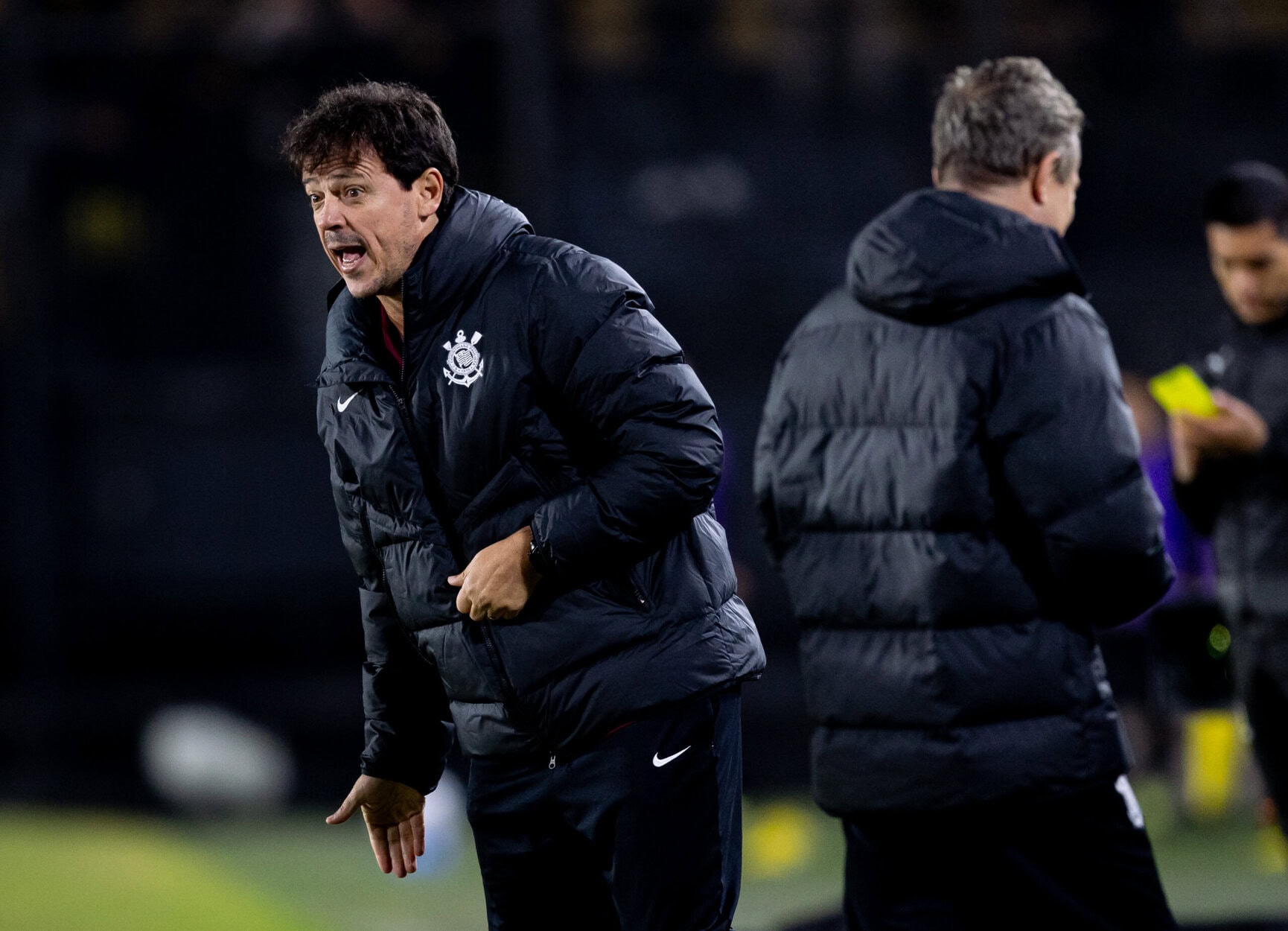 Corinthians fernando diniz