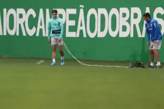 palmeiras