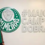 Barboza palmeiras