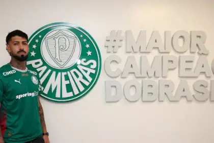 Barboza palmeiras