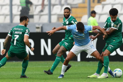 Palmeiras