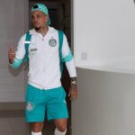 Palmeiras