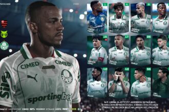 palmeiras
