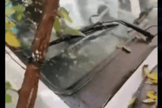 Caminhão desgovernado atinge oito veículos em grave acidente em São Bernardo