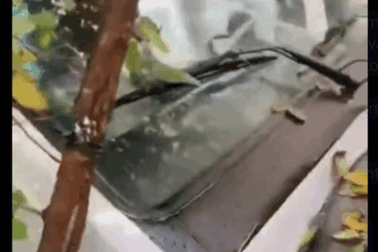 Caminhão desgovernado atinge oito veículos em grave acidente em São Bernardo