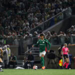 Palmeiras