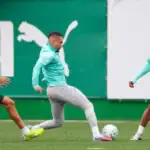 Palmeiras