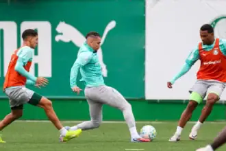 Palmeiras