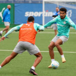 Palmeiras