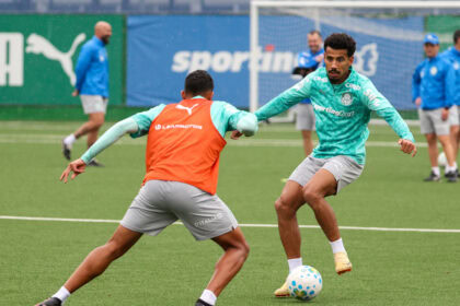 Palmeiras