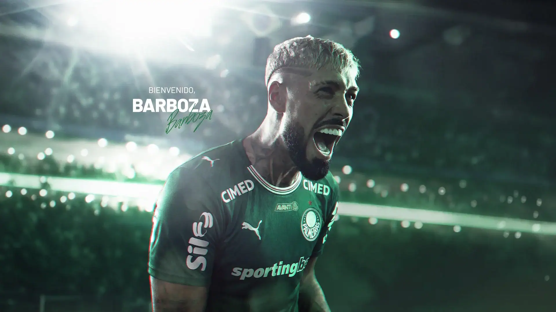 Barboza palmeiras