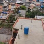 Em São Bernardo, árvore cai no Jardim Laura após chuvas e ventos neste domingo