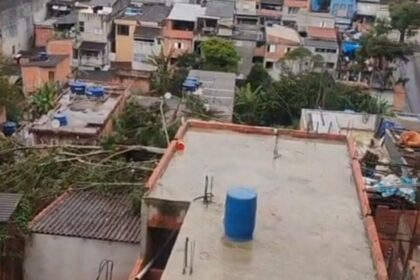 Em São Bernardo, árvore cai no Jardim Laura após chuvas e ventos neste domingo