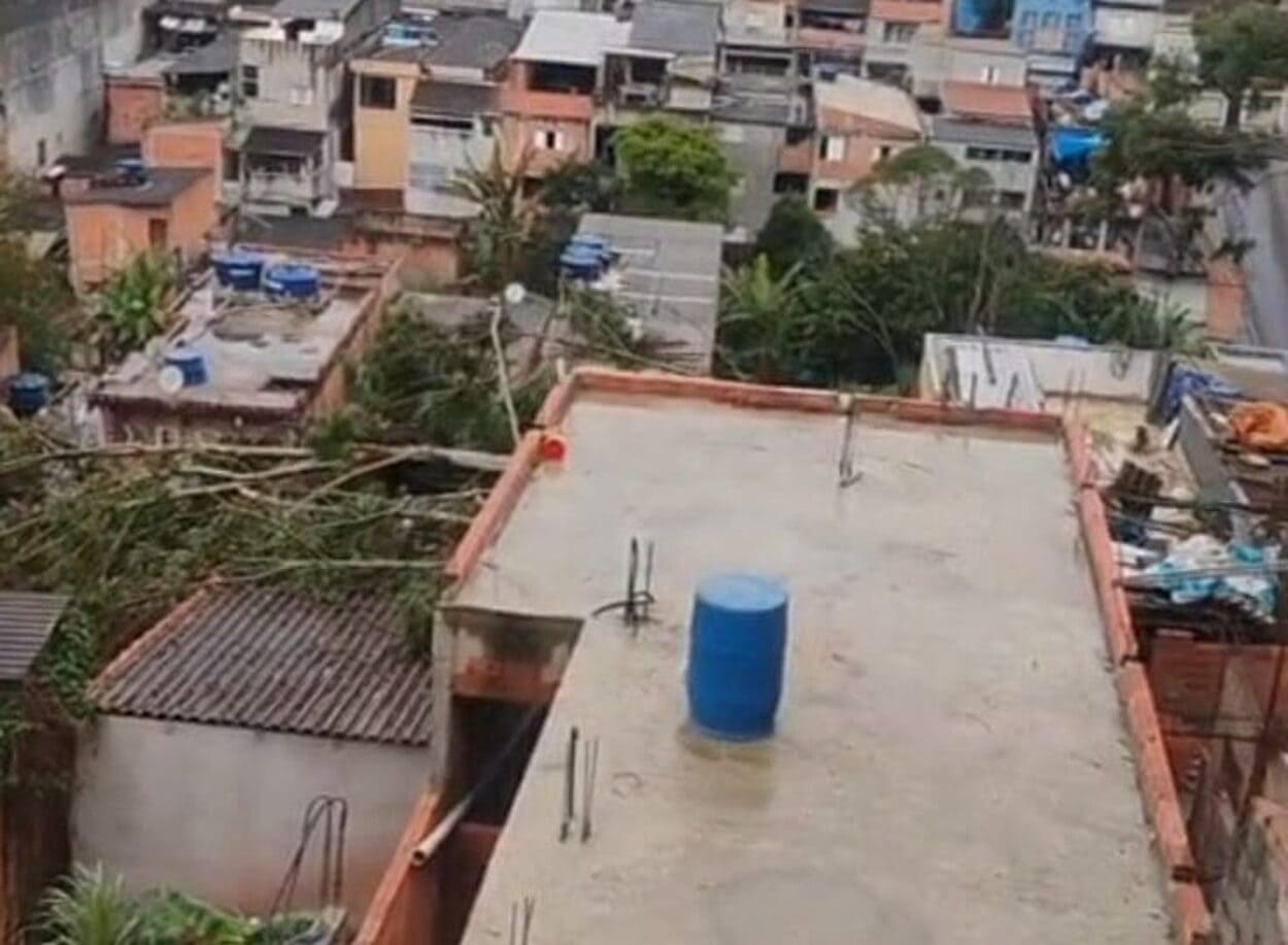 Em São Bernardo, árvore cai no Jardim Laura após chuvas e ventos neste domingo
