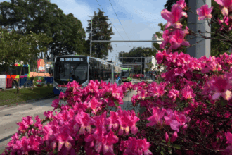 Corredor Verde ABD completa 8 anos com a marca de 13 mil árvores plantadas
