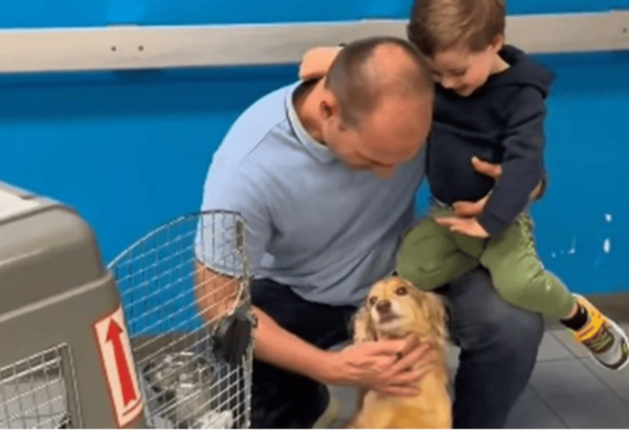 Após um ano, Eduardo Bolsonaro reencontra cachorrinha Beretta nos Estados Unidos