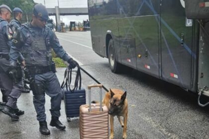 Cães do BAEP interceptam rotas do tráfico no Sistema Anchieta-Imigrantes