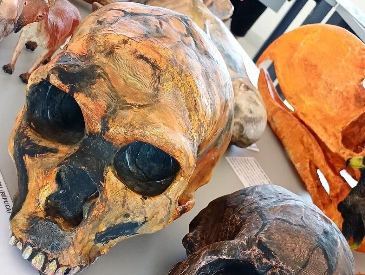 Ciência e diversão gratuita na Praça da Cidadania de São Bernardo