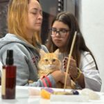 Mãos que Curam” realiza mais de 70 atendimentos e amplia cuidado para pets em Ribeirão Pires