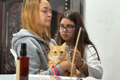 Mãos que Curam” realiza mais de 70 atendimentos e amplia cuidado para pets em Ribeirão Pires