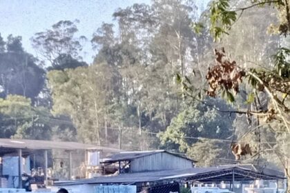 GCM de Ribeirão Pires recupera veículo roubado e apreende carro ligado a estelionato