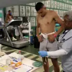 Palmeiras