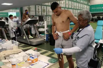 Palmeiras