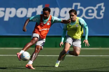 Palmeiras