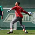 Palmeiras