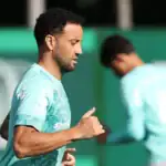 Palmeiras