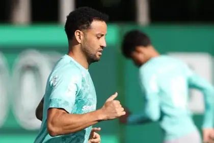 Palmeiras
