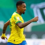 Palmeiras