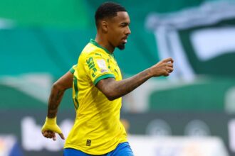 Palmeiras