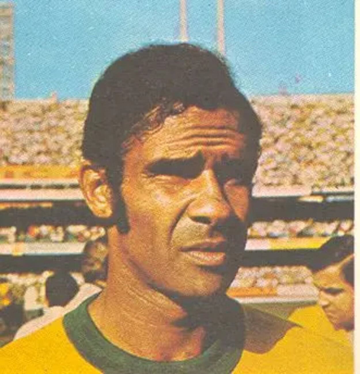 BRITO SELECAO