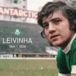 Palmeiras leivinha