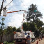 ENEL realiza mutirão com mais de 600 podas preventivas em Rio Grande da Serra