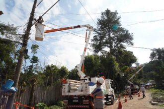 ENEL realiza mutirão com mais de 600 podas preventivas em Rio Grande da Serra