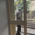 Protesto contra mudança de professores termina em tumulto e vandalismo em escola de São Bernardo