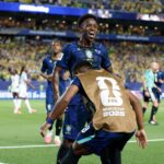 Vini Jr brasil