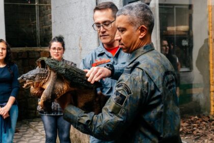 No Dia Mundial do Meio Ambiente, São Bernardo celebra ações de preservação da fauna local
