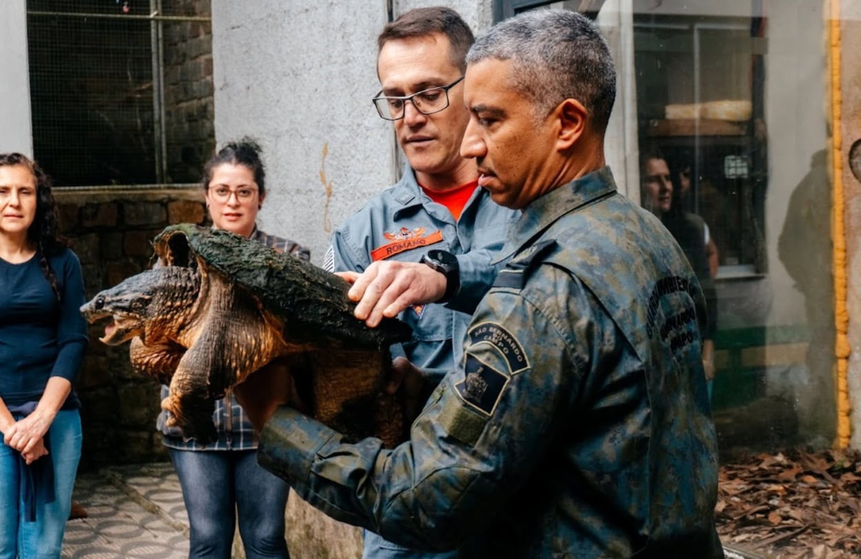 No Dia Mundial do Meio Ambiente, São Bernardo celebra ações de preservação da fauna local