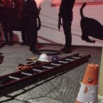 Guarda Civil Municipal de Ribeirão Pires prende dois homens por furto de cabos