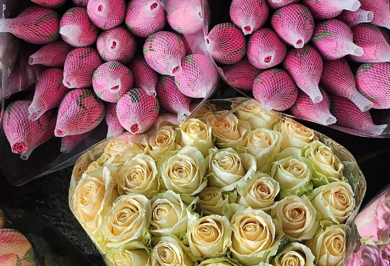 Mercado de Flores funciona às terças e sextas-feiras, das 17h às 21h, em Santo André