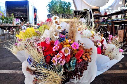 Craisa conta com diversas opções de flores para presentear no Dia dos Namorados