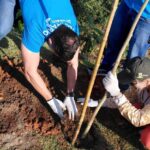 Iniciativa da Braskem em parceria com o Coletivo NASA e o Semasa, mobilizou voluntários em atividade em Santo André 
