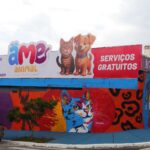 Mauá inicia campanha do agasalho para cães e gatos