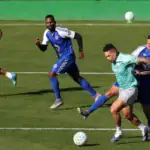 Palmeiras