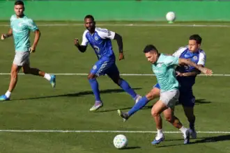 Palmeiras