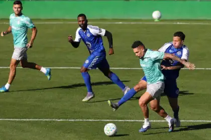 Palmeiras